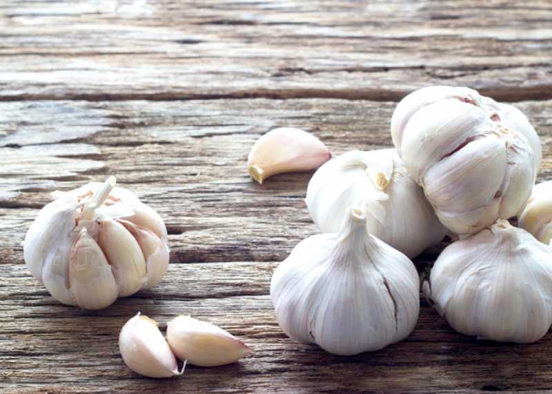 تصویر 3 از سیر سفید سالم درجه ممتاز با رنگ سفید و تازه